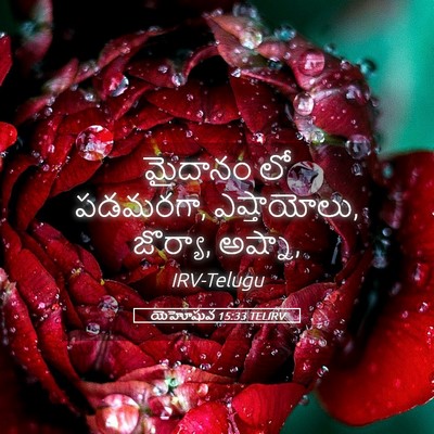 Picture 05 - యెహోషువ 15:33 TELIRV - మైదానం లో పడమరగా, - Bible Verse Picture
