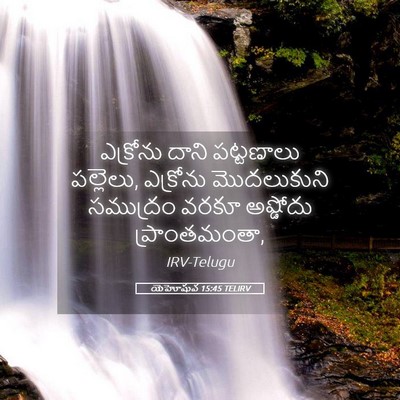 Picture 05 - యెహోషువ 15:45 TELIRV - ఎక్రోను దాని - Bible Verse Picture