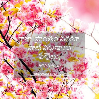 Picture 05 - యెహోషువ 15:47 TELIRV - గాజా ప్రాంతం వరకూ, - Bible Verse Picture