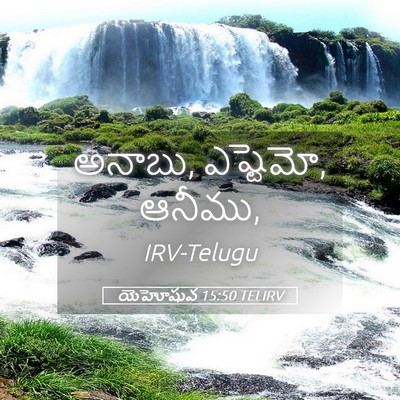 Picture 05 - యెహోషువ 15:50 TELIRV - అనాబు, ఎష్టెమో, - Bible Verse Picture