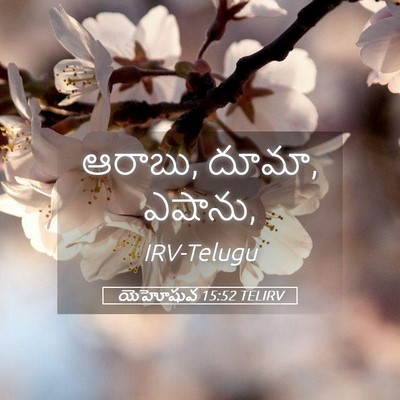 Picture 05 - యెహోషువ 15:52 TELIRV - ఆరాబు, దూమా, - Bible Verse Picture