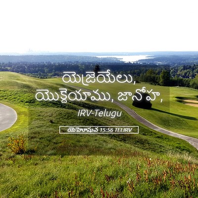 Picture 05 - యెహోషువ 15:56 TELIRV - యెజ్రెయేలు, - Bible Verse Picture