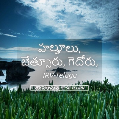 Picture 05 - యెహోషువ 15:58 TELIRV - హల్హూలు, బేత్సూరు, - Bible Verse Picture