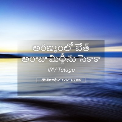 Picture 05 - యెహోషువ 15:61 TELIRV - అరణ్యంలో బేత్ - Bible Verse Picture
