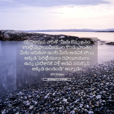 Picture 05 - యెహోషువ 17:15 TELIRV - యెహోషువ వారితో - Bible Verse Picture