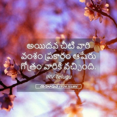 Picture 05 - యెహోషువ 19:24 TELIRV - అయిదవ చీటి వారి - Bible Verse Picture