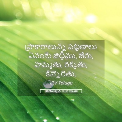 Picture 05 - యెహోషువ 19:35 TELIRV - ప్రాకారాలున్న - Bible Verse Picture