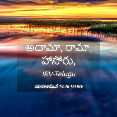 Picture 05 - యెహోషువ 19:36 TELIRV - అదామా, రామా, - Bible Verse Picture
