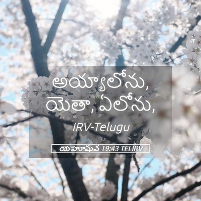 Picture 05 - యెహోషువ 19:43 TELIRV - అయ్యాలోను, యెతా, - Bible Verse Picture