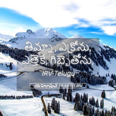 Picture 05 - యెహోషువ 19:44 TELIRV - తిమ్నా, ఎక్రోను, - Bible Verse Picture