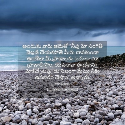 Picture 05 - యెహోషువ 2:14 TELIRV - అందుకు వారు ఆమెతో - Bible Verse Picture