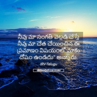 Picture 05 - యెహోషువ 2:20 TELIRV - నీవు మా సంగతి - Bible Verse Picture