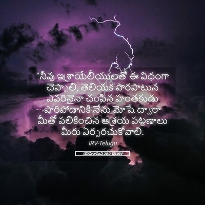 Picture 05 - యెహోషువ 20:2 TELIRV - “నీవు - Bible Verse Picture