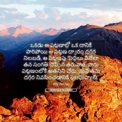 Picture 05 - యెహోషువ 20:4 TELIRV - ఒకడు ఆ పట్టణాల్లో - Bible Verse Picture