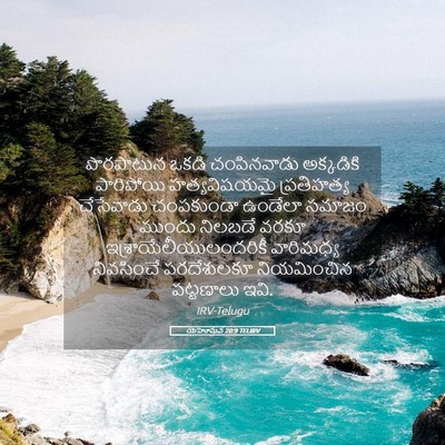 Picture 05 - యెహోషువ 20:9 TELIRV - పొరపాటున ఒకడి - Bible Verse Picture