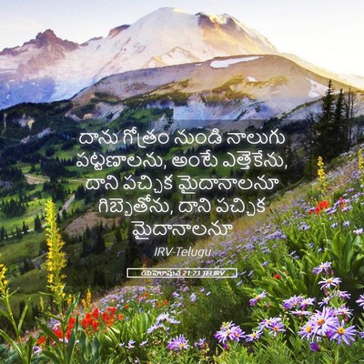 Picture 05 - యెహోషువ 21:23 TELIRV - దాను గోత్రం నుండి - Bible Verse Picture