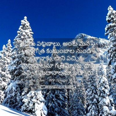 Picture 05 - యెహోషువ 21:25 TELIRV - రెండు పట్టణాలు, - Bible Verse Picture