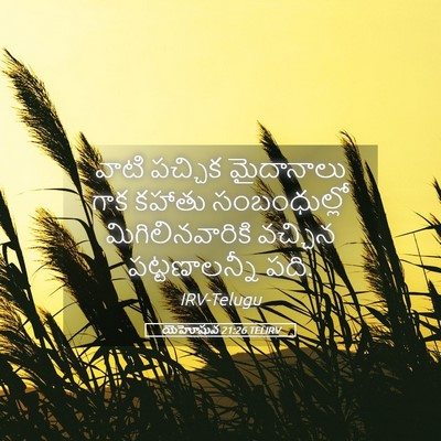 Picture 05 - యెహోషువ 21:26 TELIRV - వాటి పచ్చిక - Bible Verse Picture