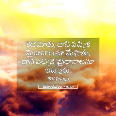 Picture 05 - యెహోషువ 21:37 TELIRV - కెదెమోతు, దాని - Bible Verse Picture
