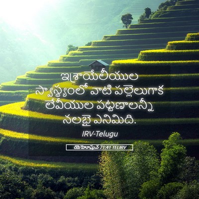 Picture 05 - యెహోషువ 21:41 TELIRV - ఇశ్రాయేలీయుల - Bible Verse Picture
