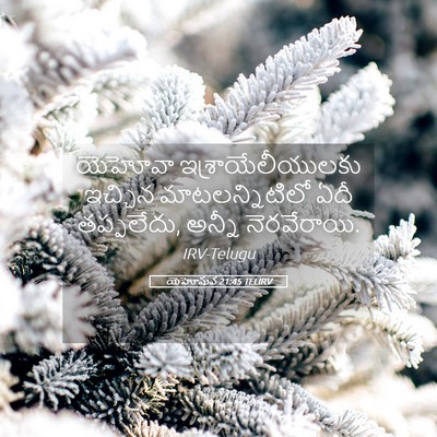 Picture 05 - యెహోషువ 21:45 TELIRV - యెహోవా - Bible Verse Picture