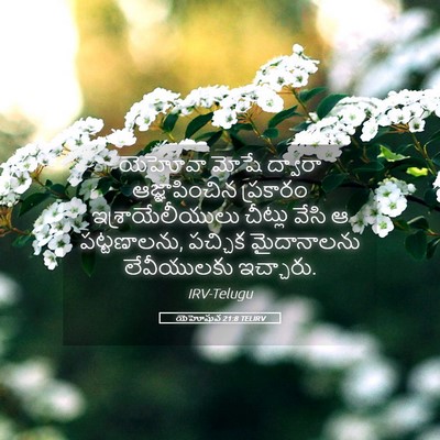 Picture 05 - యెహోషువ 21:8 TELIRV - యెహోవా మోషే - Bible Verse Picture