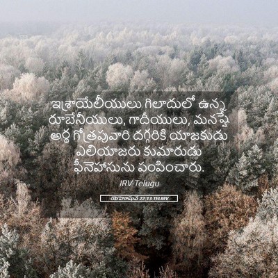 Picture 05 - యెహోషువ 22:13 TELIRV - ఇశ్రాయేలీయులు - Bible Verse Picture