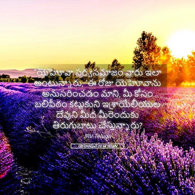 Picture 05 - యెహోషువ 22:16 TELIRV - “యెహోవా సర్వసమాజం - Bible Verse Picture
