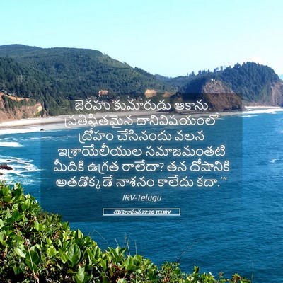 Picture 05 - యెహోషువ 22:20 TELIRV - జెరహు కుమారుడు - Bible Verse Picture