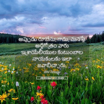 Picture 05 - యెహోషువ 22:21 TELIRV - అప్పుడు రూబేను, - Bible Verse Picture