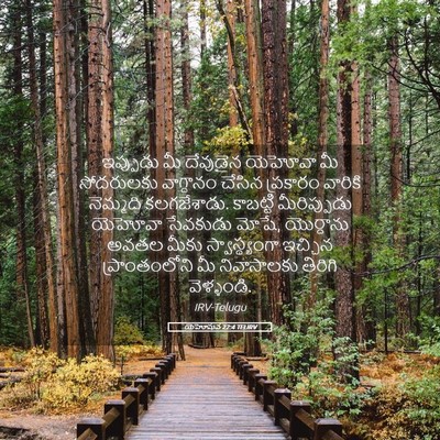 Picture 05 - యెహోషువ 22:4 TELIRV - ఇప్పుడు మీ - Bible Verse Picture