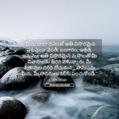 Picture 05 - యెహోషువ 22:8 TELIRV - “మీరు చాలా ధనంతో - Bible Verse Picture