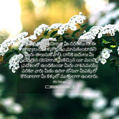 Picture 05 - యెహోషువ 23:13 TELIRV - మీ దేవుడైన యెహోవా - Bible Verse Picture