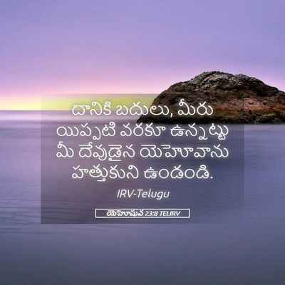Picture 05 - యెహోషువ 23:8 TELIRV - దానికి బదులు, మీరు - Bible Verse Picture
