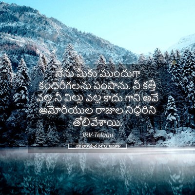 Picture 05 - యెహోషువ 24:12 TELIRV - నేను మీకు ముందుగా - Bible Verse Picture