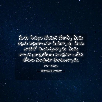 Picture 05 - యెహోషువ 24:13 TELIRV - మీరు సేద్యం చేయని - Bible Verse Picture
