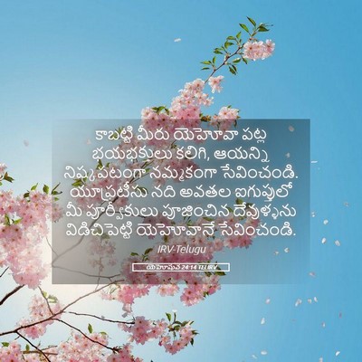 Picture 05 - యెహోషువ 24:14 TELIRV - కాబట్టి మీరు - Bible Verse Picture