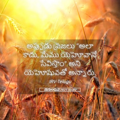 Picture 05 - యెహోషువ 24:21 TELIRV - అప్పుడు ప్రజలు - Bible Verse Picture
