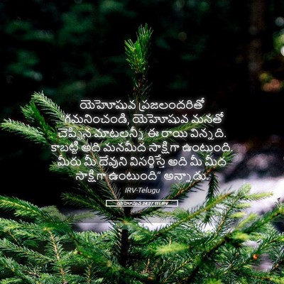 Picture 05 - యెహోషువ 24:27 TELIRV - యెహోషువ - Bible Verse Picture