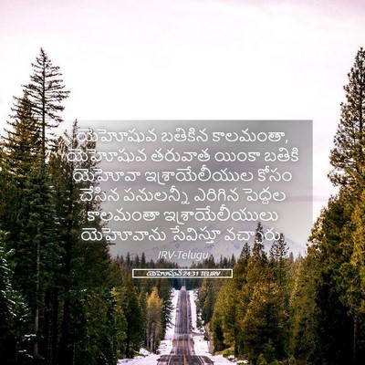 Picture 05 - యెహోషువ 24:31 TELIRV - యెహోషువ బతికిన - Bible Verse Picture