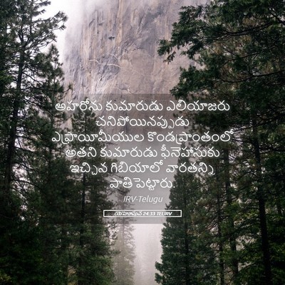 Picture 05 - యెహోషువ 24:33 TELIRV - అహరోను కుమారుడు - Bible Verse Picture