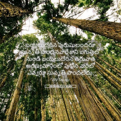 Picture 05 - యెహోషువ 5:5 TELIRV - బయలుదేరిన - Bible Verse Picture