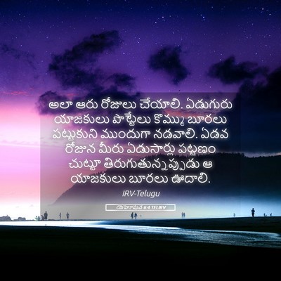 Picture 05 - యెహోషువ 6:4 TELIRV - అలా ఆరు రోజులు - Bible Verse Picture