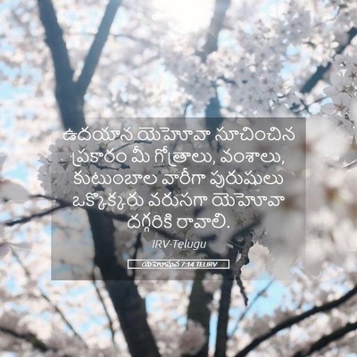 Picture 05 - యెహోషువ 7:14 TELIRV - ఉదయాన యెహోవా - Bible Verse Picture