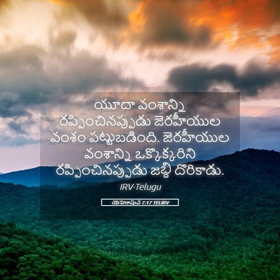 Picture 05 - యెహోషువ 7:17 TELIRV - యూదా వంశాన్ని - Bible Verse Picture