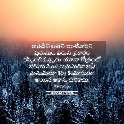Picture 05 - యెహోషువ 7:18 TELIRV - అతడినీ అతని - Bible Verse Picture