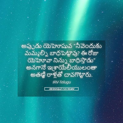 Picture 05 - యెహోషువ 7:25 TELIRV - అప్పుడు యెహోషువ - Bible Verse Picture