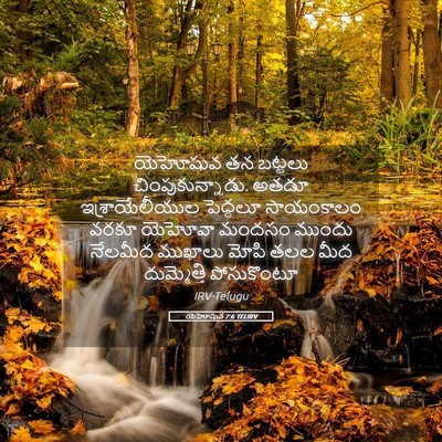 Picture 05 - యెహోషువ 7:6 TELIRV - యెహోషువ తన బట్టలు - Bible Verse Picture