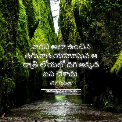 Picture 05 - యెహోషువ 8:13 TELIRV - వారిని అలా ఉంచిన - Bible Verse Picture