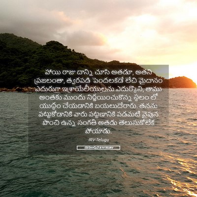 Picture 05 - యెహోషువ 8:14 TELIRV - హాయి రాజు దాన్ని - Bible Verse Picture